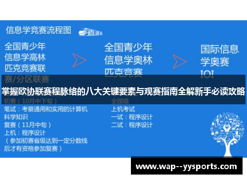 掌握欧协联赛程脉络的八大关键要素与观赛指南全解新手必读攻略