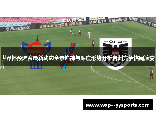 世界杯预选赛最新动态全景追踪与深度形势分析各洲竞争格局演变